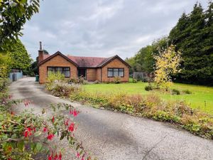 Photo 17- click for photo gallery